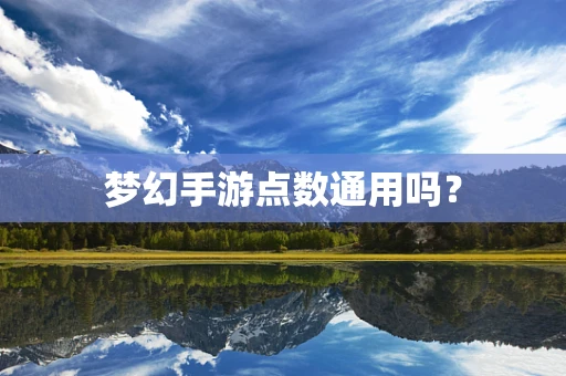 梦幻手游点数通用吗？