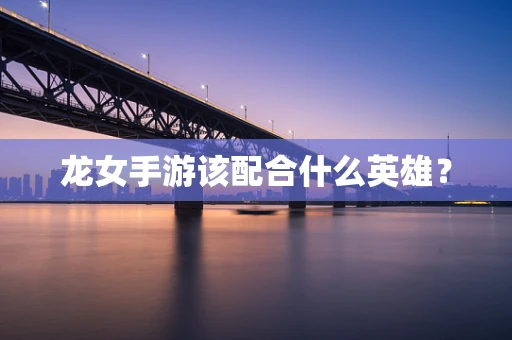 龙女手游该配合什么英雄？