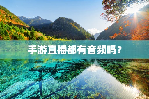 手游直播都有音频吗？