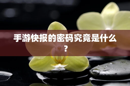 手游快报的密码究竟是什么？
