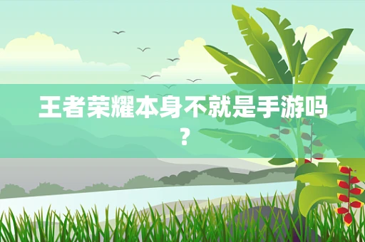 王者荣耀本身不就是手游吗？