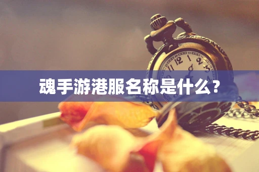 魂手游港服名称是什么？