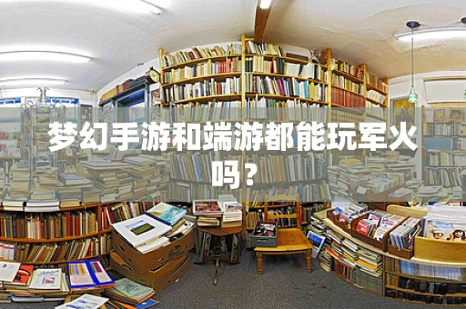 梦幻手游和端游都能玩军火吗？