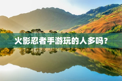 火影忍者手游玩的人多吗？
