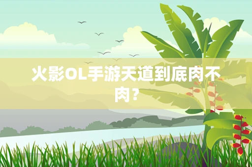 火影OL手游天道到底肉不肉？