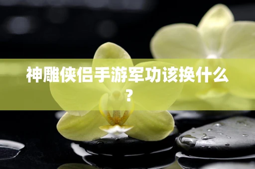 神雕侠侣手游军功该换什么？