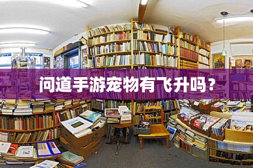 问道手游宠物有飞升吗？