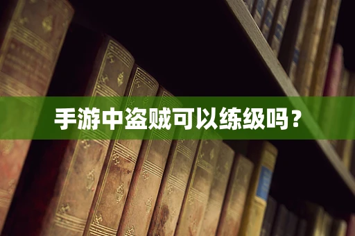 手游中盗贼可以练级吗？