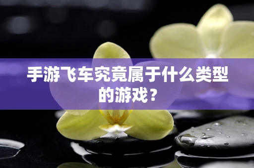 手游飞车究竟属于什么类型的游戏？