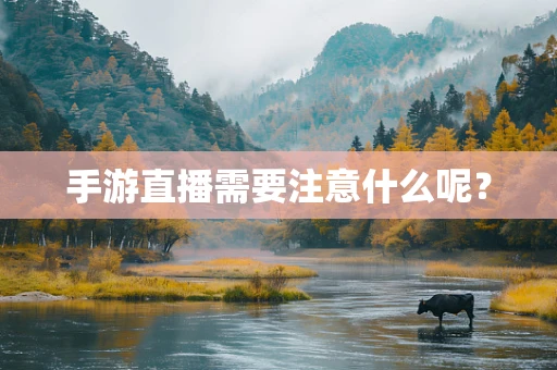 手游直播需要注意什么呢？