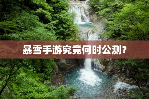 暴雪手游究竟何时公测？