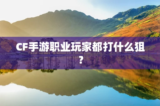 CF手游职业玩家都打什么狙？