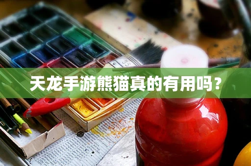 天龙手游熊猫真的有用吗？