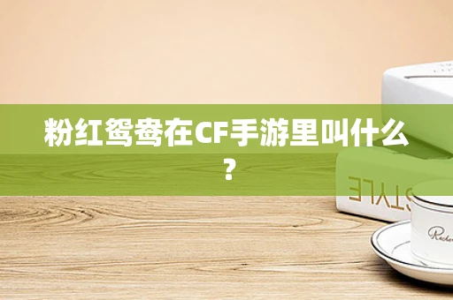 粉红鸳鸯在CF手游里叫什么？