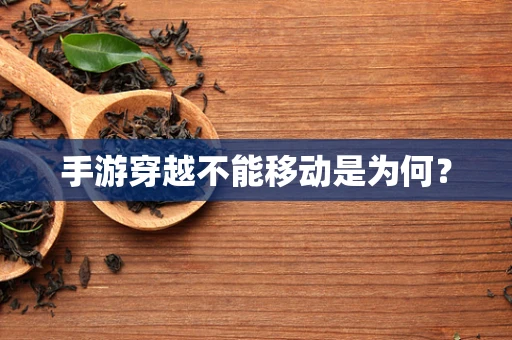 手游穿越不能移动是为何？