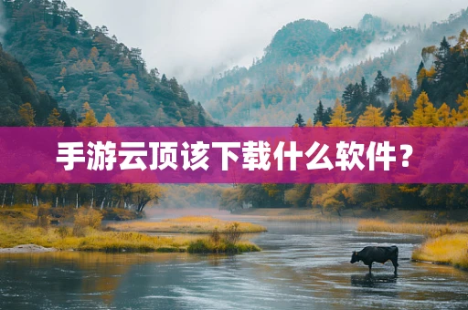 手游云顶该下载什么软件？