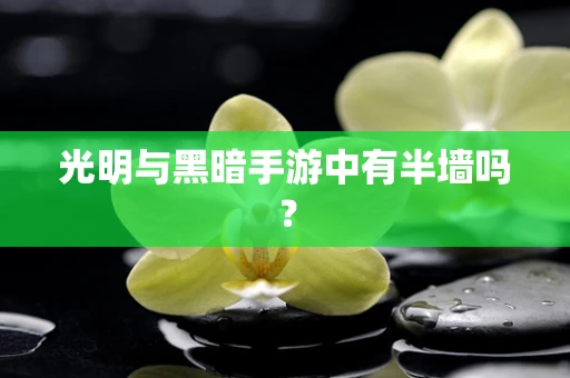 光明与黑暗手游中有半墙吗？