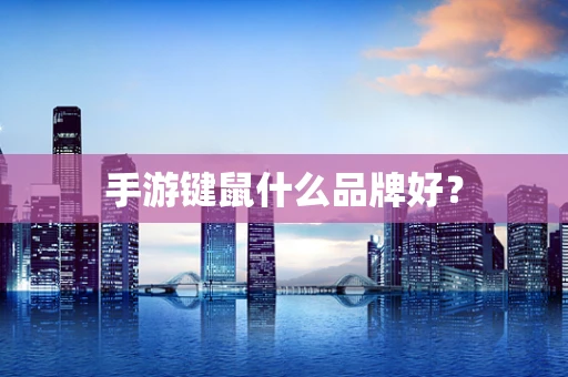 手游键鼠什么品牌好？