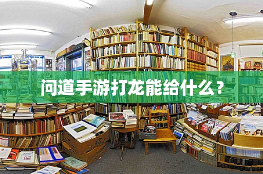 问道手游打龙能给什么？