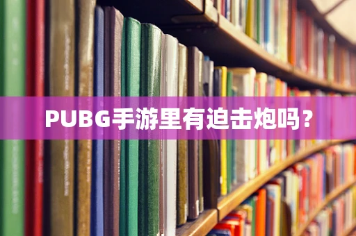 PUBG手游里有迫击炮吗？