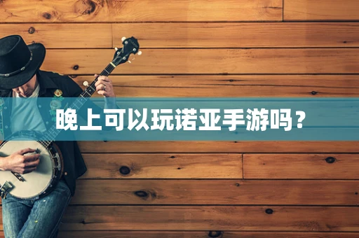 晚上可以玩诺亚手游吗？