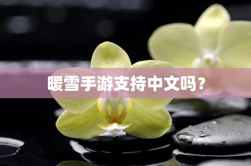 暖雪手游支持中文吗？