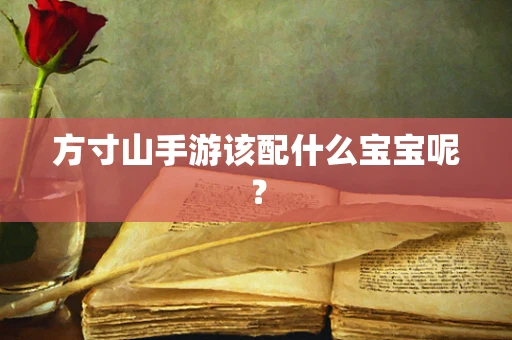 方寸山手游该配什么宝宝呢？