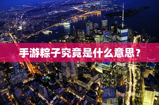 手游粽子究竟是什么意思？