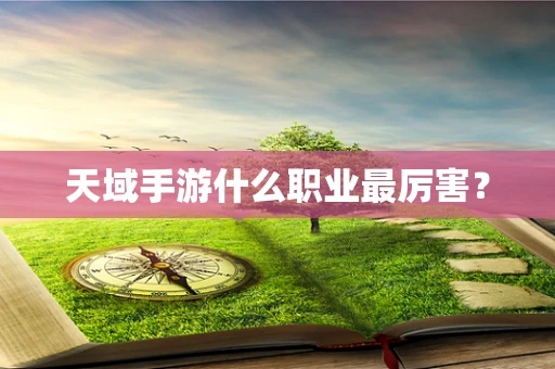 天域手游什么职业最厉害？