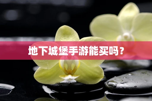 地下城堡手游能买吗？