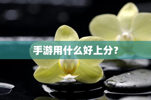 手游用什么好上分？