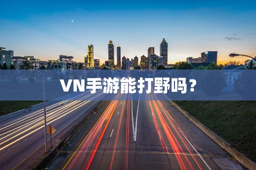 VN手游能打野吗？