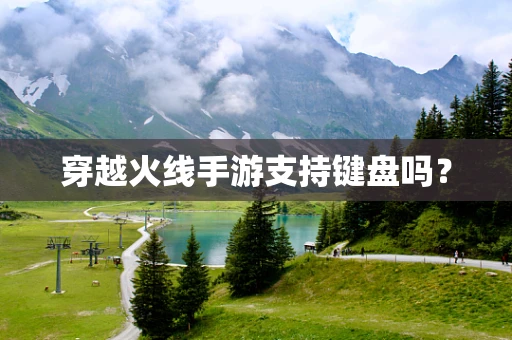 穿越火线手游支持键盘吗？