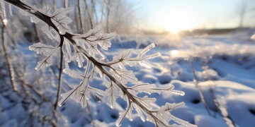 手游寒冰用什么辅助好用呢？