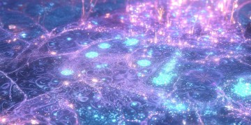 梦幻手游账号到底没被找回吗？