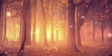 树精手游究竟何时推出？