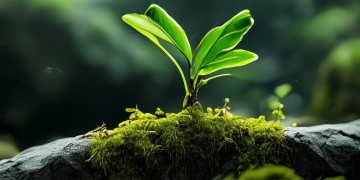 手游螳螂带什么装备好？