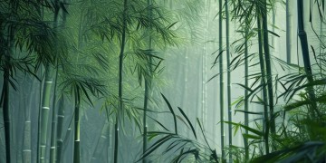 楚留香手游什么时候返场呢？