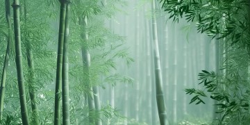 笑傲江湖手游的歌究竟叫什么？
